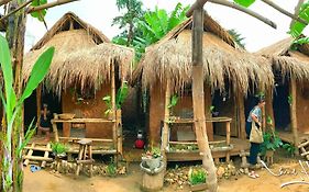 Lang Ho Homestay - Coffee